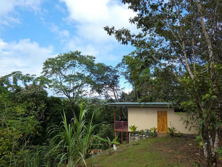 شقة Tapiru'S House - Bahia Drake Drakes Bay المظهر الخارجي الصورة
